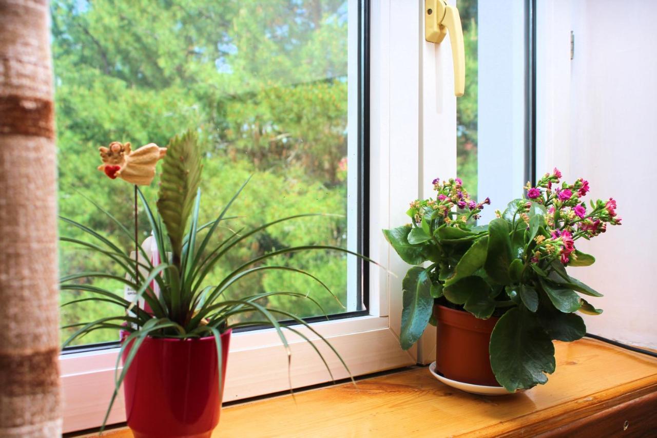 Hotel Grace Garden Kum Εξωτερικό φωτογραφία