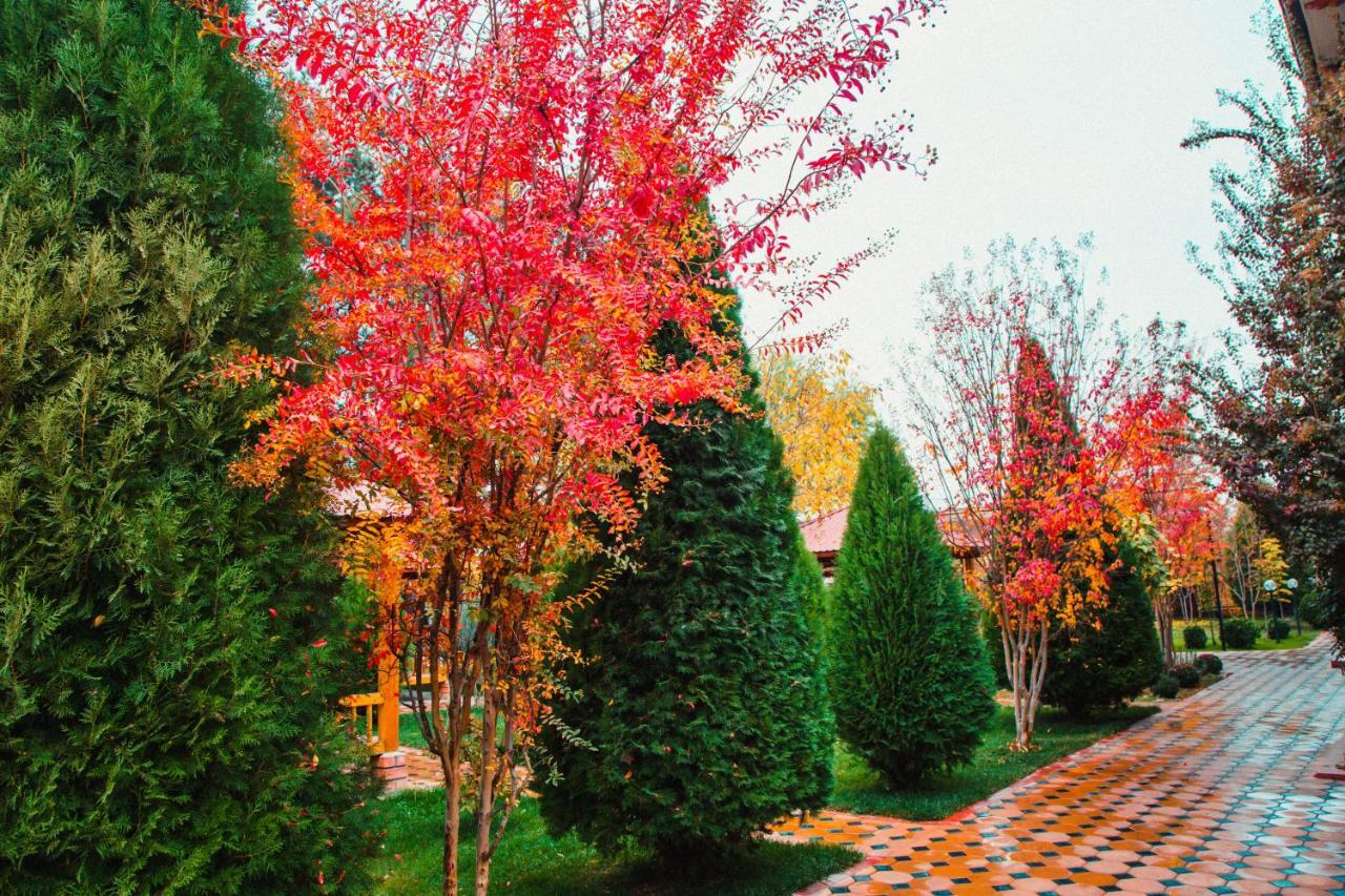 Hotel Grace Garden Kum Εξωτερικό φωτογραφία